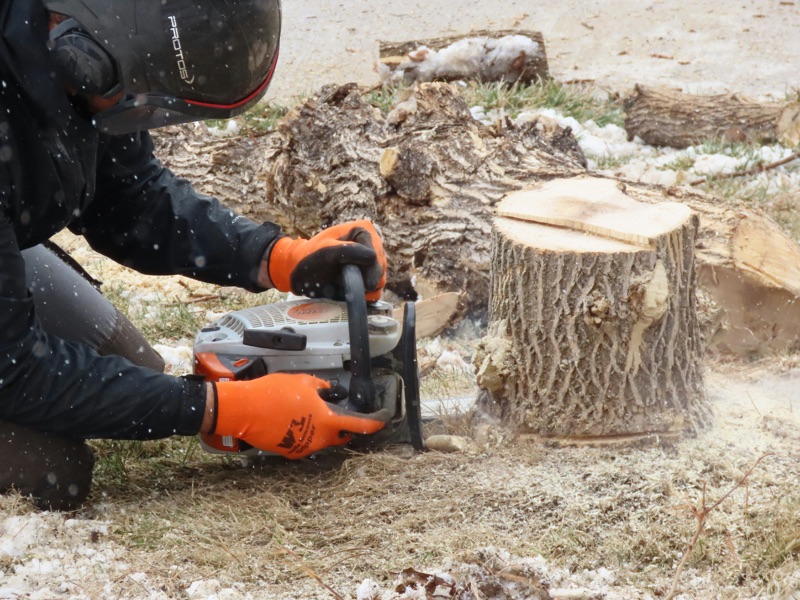 Stump Grinding in Birmingham, AL