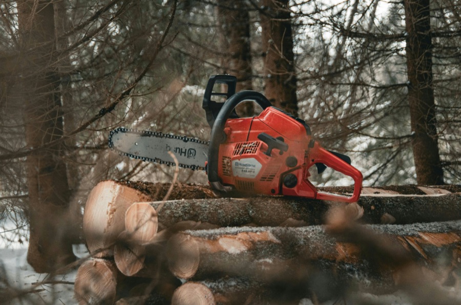 Chainsaw resting on logs in forest after tree removal